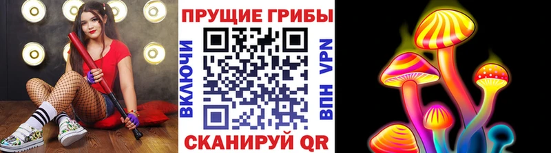 KRAKEN вход  цена наркотик  Ростов-на-Дону  Галлюциногенные грибы Psilocybine cubensis 