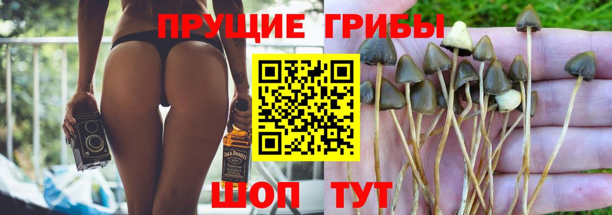 Галлюциногенные грибы ЛСД  Вход с VPN  Ростов-на-Дону 