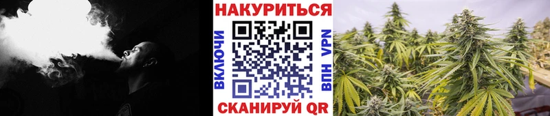 Бошки марихуана SATIVA & INDICA Ростов-на-Дону
